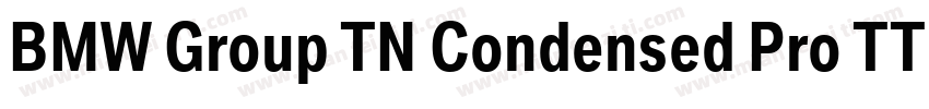 BMW Group TN Condensed Pro TT Bold字体转换
